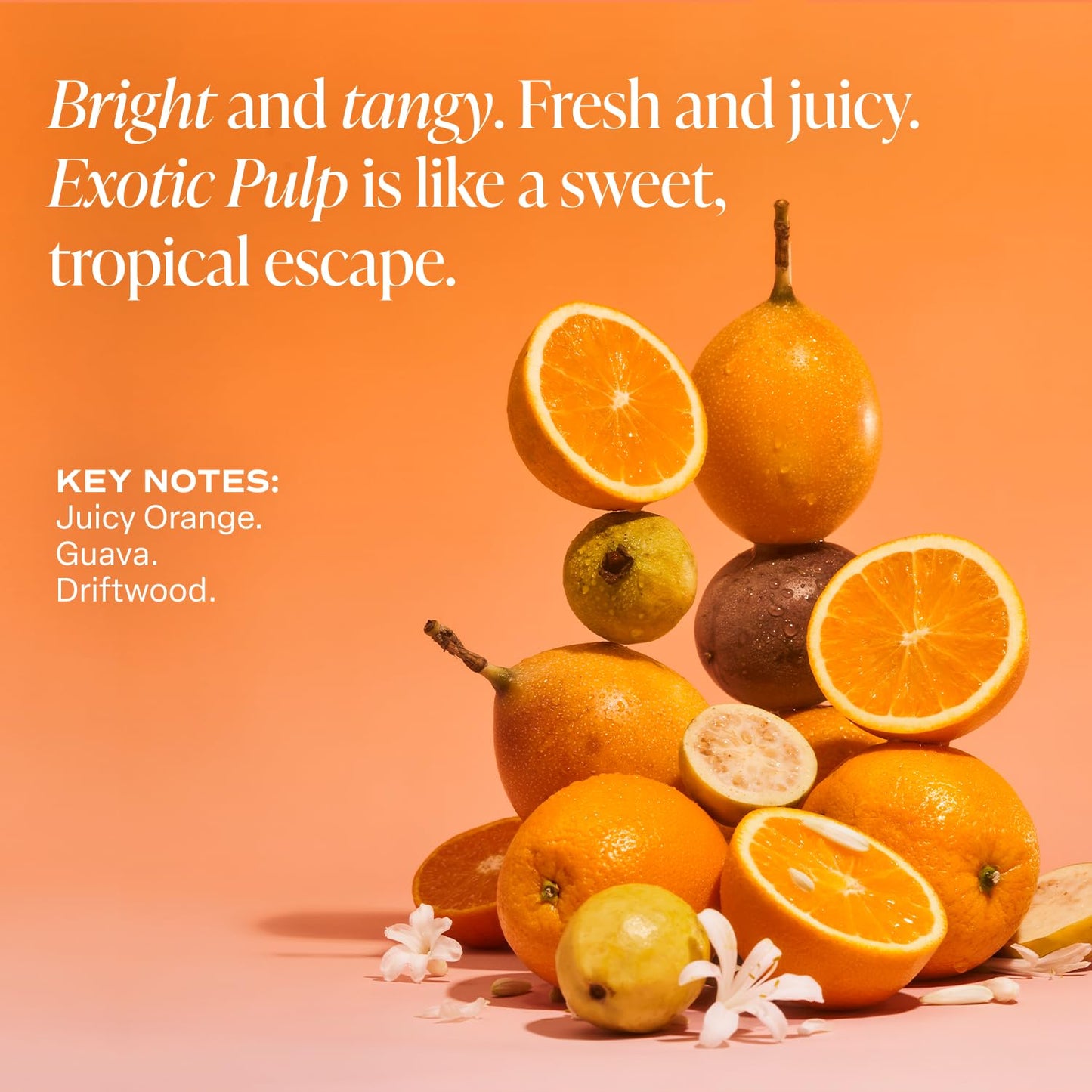 Saltair Serum Deodorant Exotic Pulp 2 Pack. 5% AHA Formula. Lactic Acid and Mandelic Acid Deodorant. Aluminum Free Odor Control for Women and Men. Travel Essentials, 2x 1.7oz Roll On