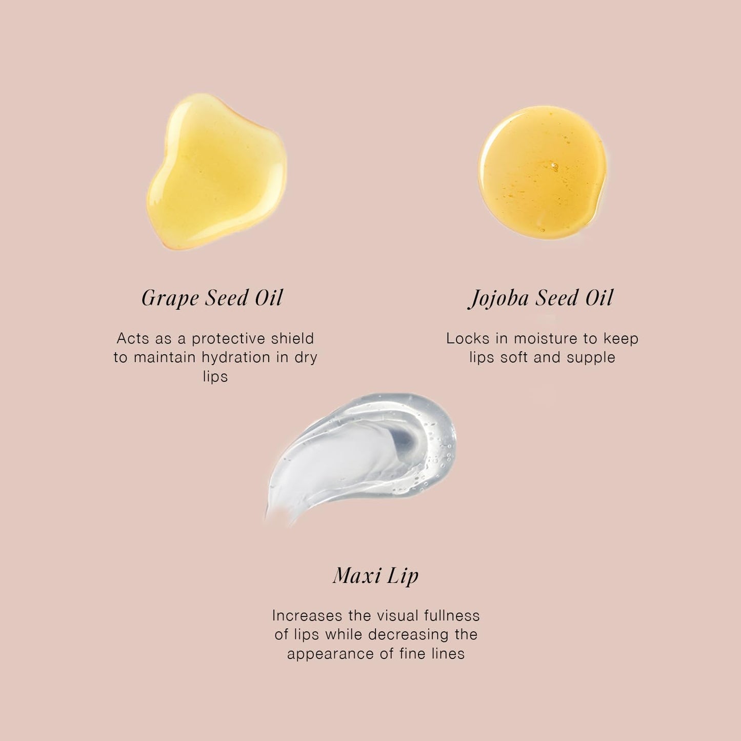 Jouer Essential Vegan Lip Enhancer - Plumping Gloss and Conditioner With Jojoba Seed Oil and Maxi Lip Formula for Fullness - Vanilla (15ml)