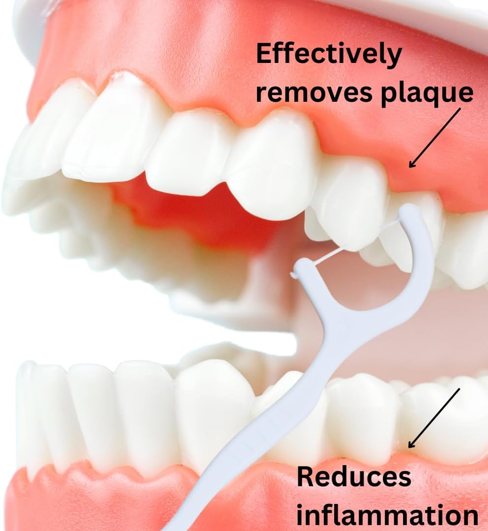 Dental Herb Company Biodegradable Dental Floss Picks, 200 Count (4×50) - Unflavoured, Plant-Based, Plastic-Free & BPA-Free Tooth Flossers, Vegan & Eco-Friendly Oral Care