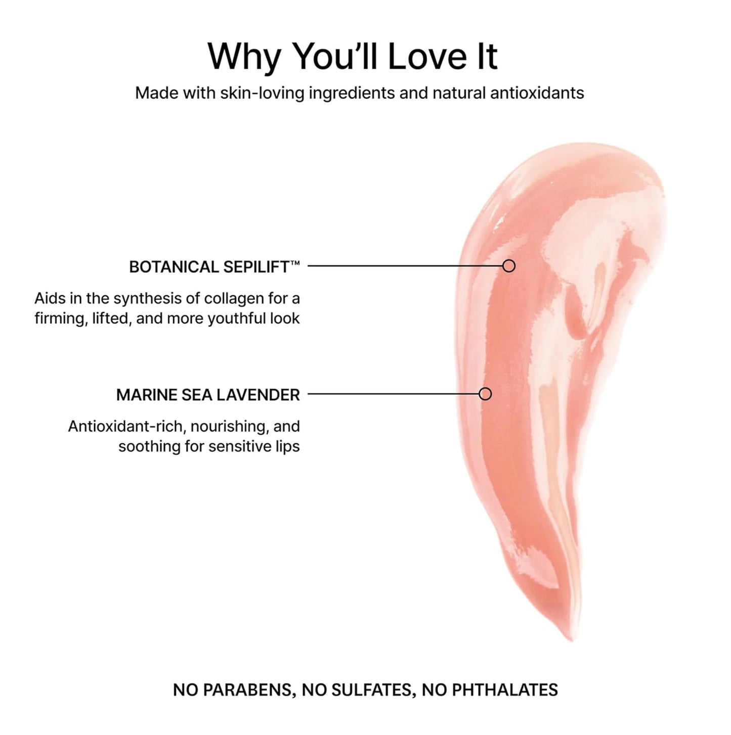 Jillian Dempsey Lip Gloss: Enhance, Hydraten & Smooth Lips with Firming & Plumping Benefits, Vegan, 12ml | Plush Nude